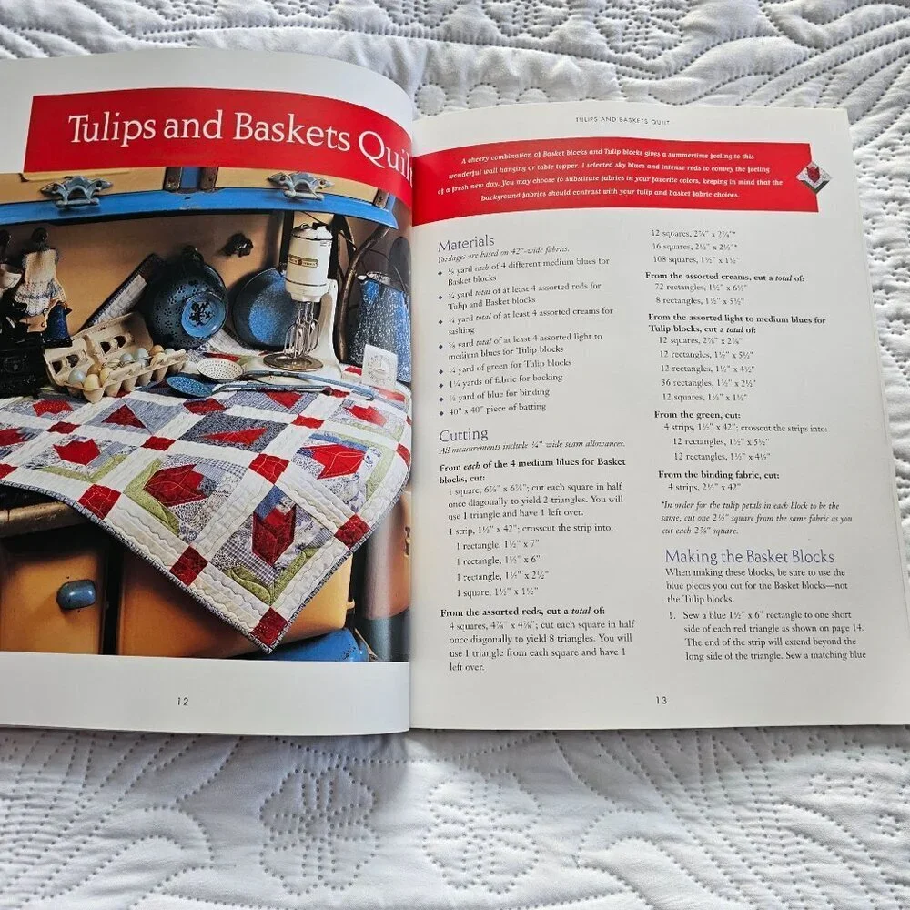 Summertime Quilts Book By Patti Eaton Fresh Designs In Chenille Martingale